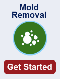 mold remediation in Denton TX